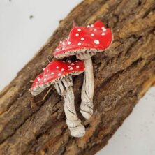 Glass mushroom earrings laid out on wood log.