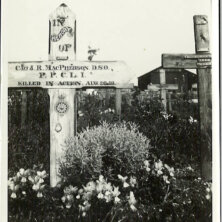 Veterans of Dufferin County