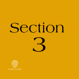 Section 3 Section 3