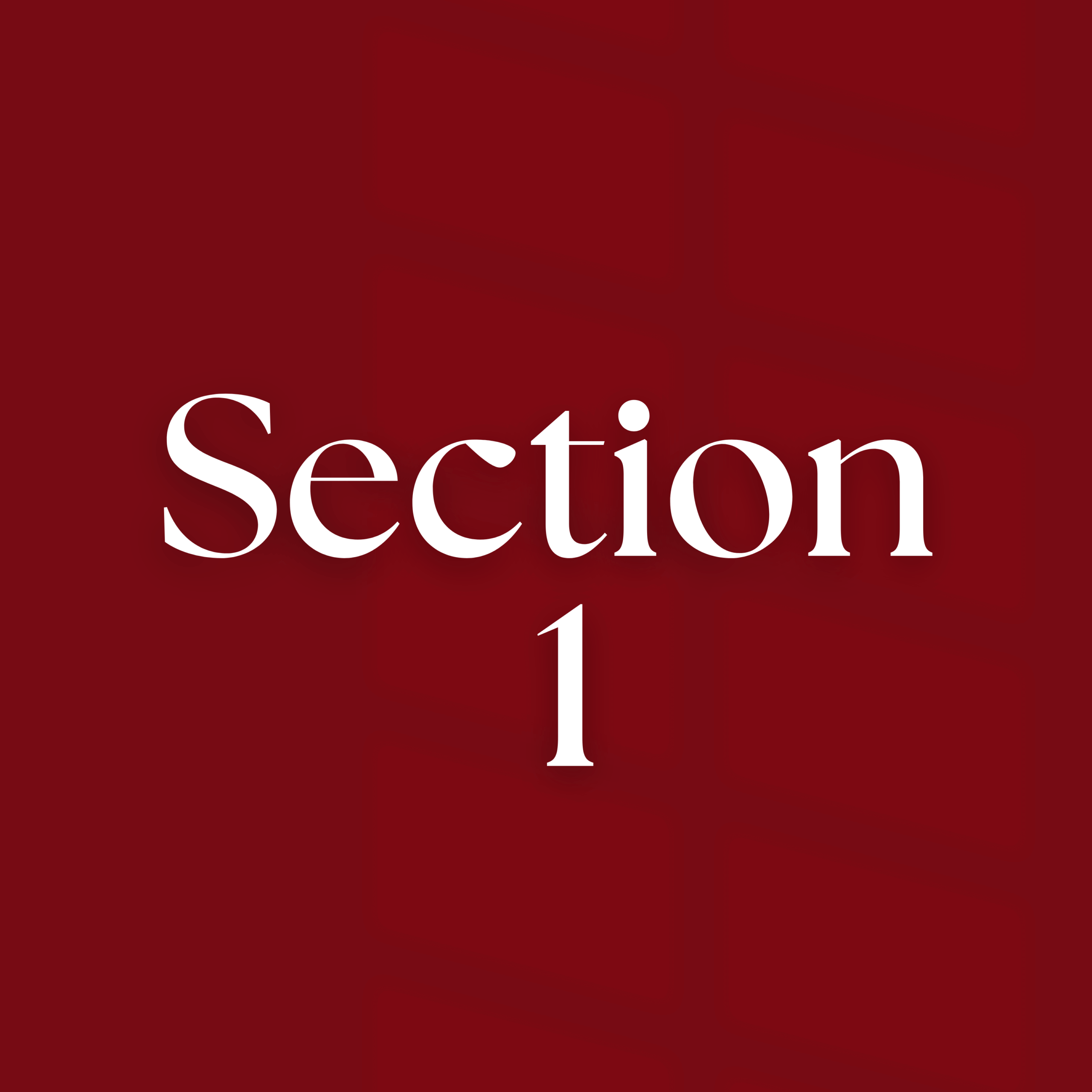 White text on red background saying "Section 1"