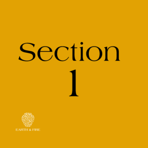 Section 1 Section 1