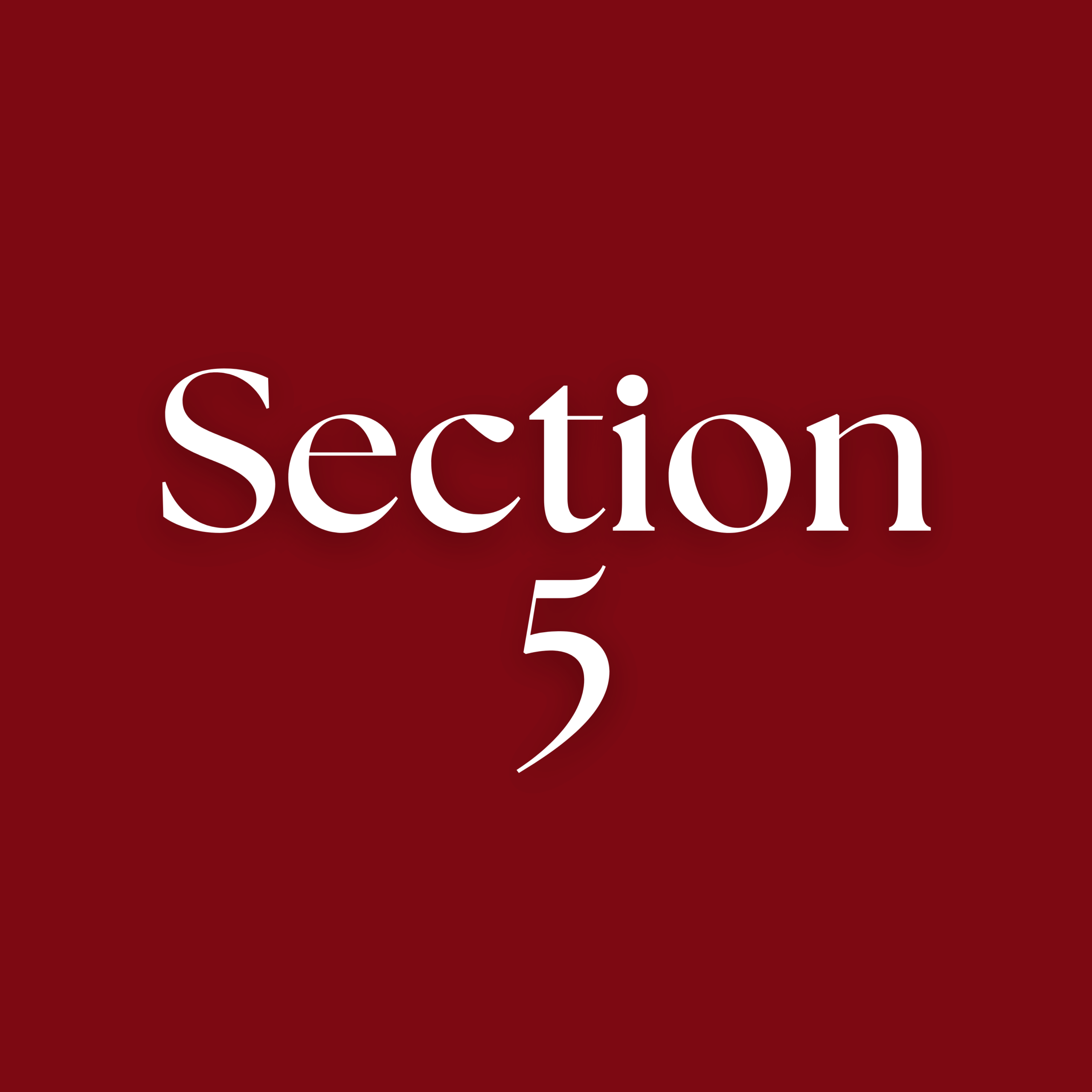 White text on red background saying "Section 5"