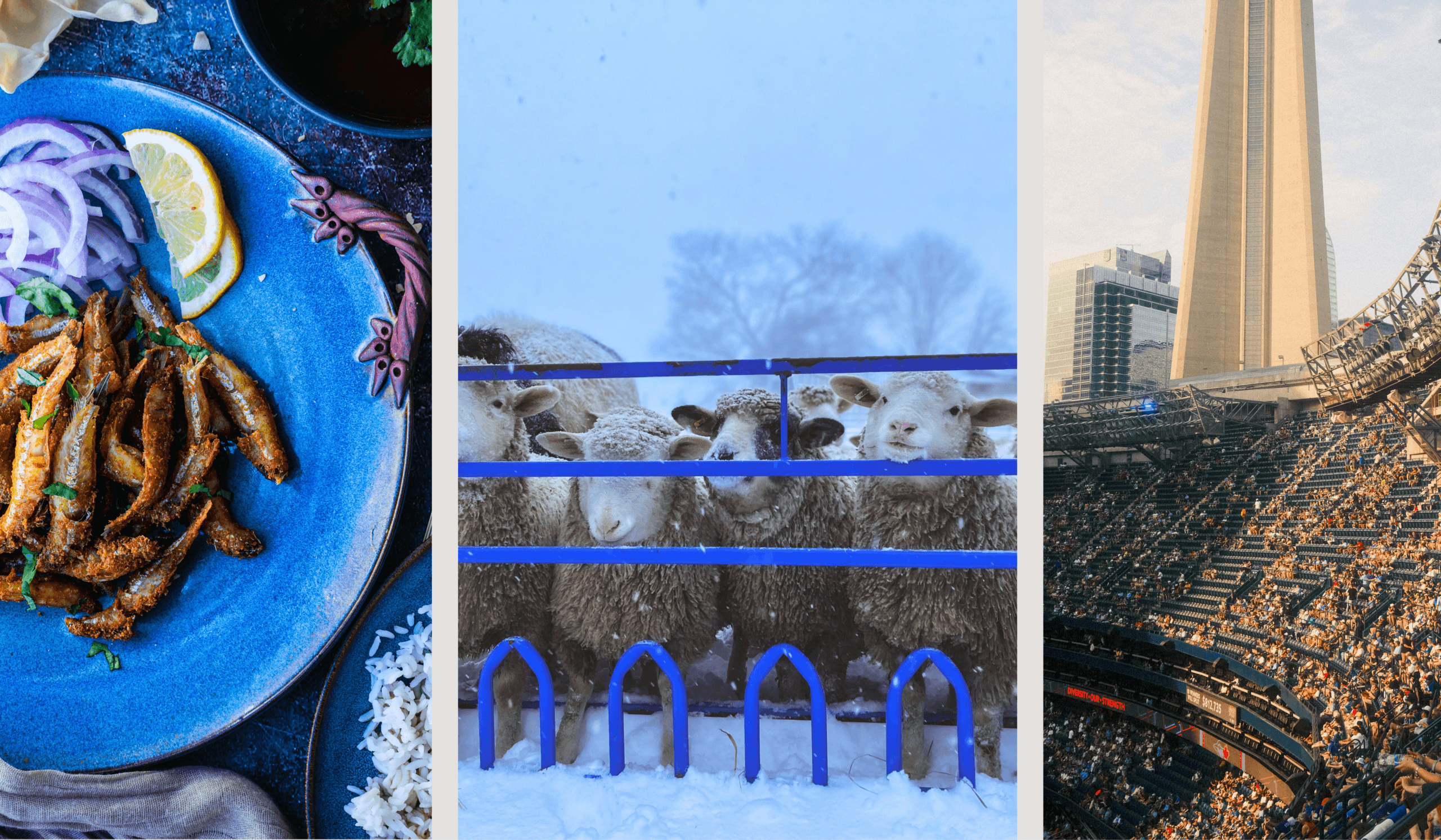 Home & Heritage Photography Exhibition