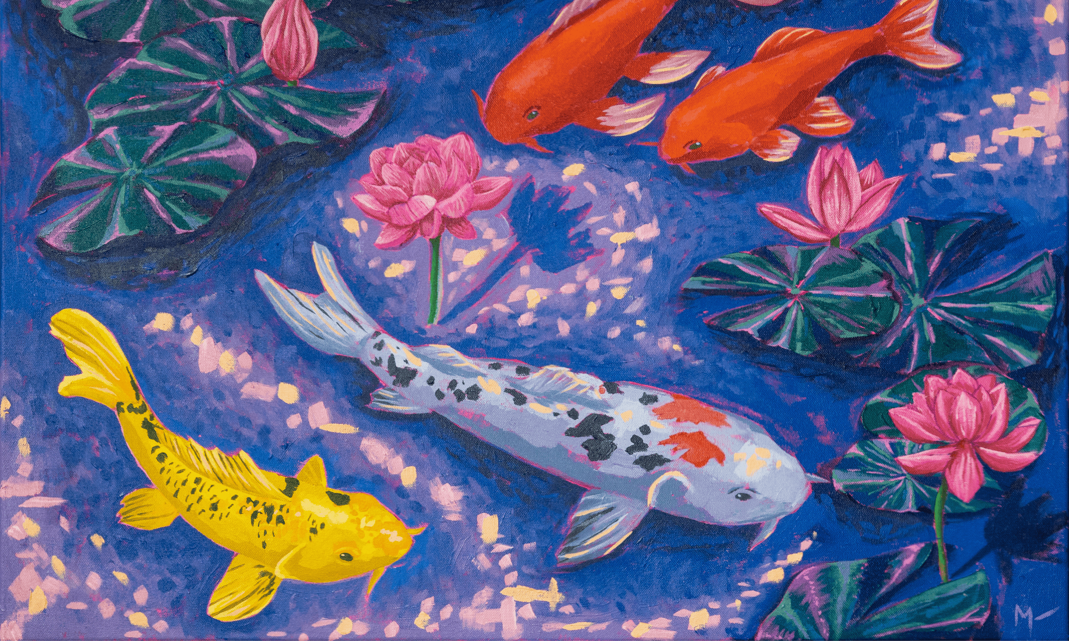 Koi
